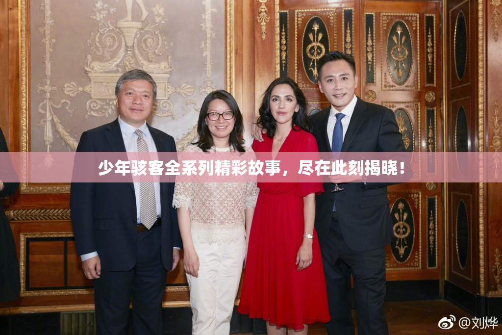 少年骇客全系列精彩故事，尽在此刻揭晓！