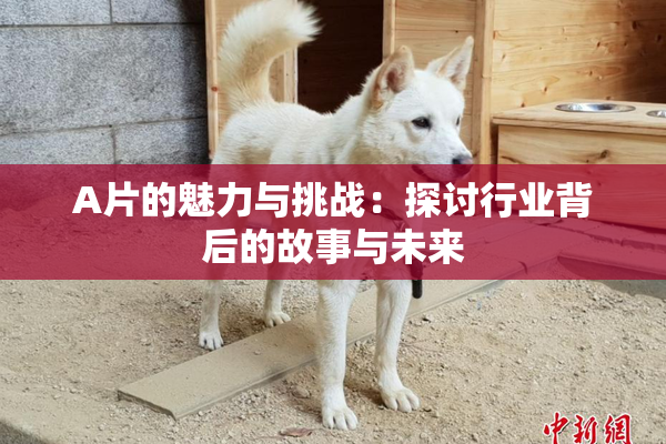 A片的魅力与挑战：探讨行业背后的故事与未来
