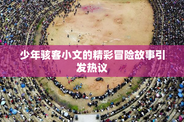 少年骇客小文的精彩冒险故事引发热议