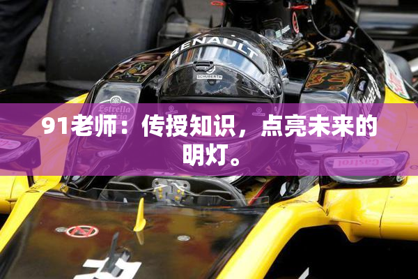 91老师：传授知识，点亮未来的明灯。