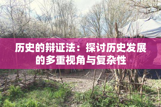 历史的辩证法：探讨历史发展的多重视角与复杂性