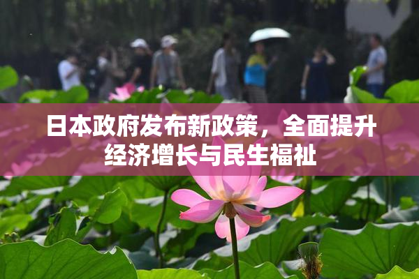 日本政府发布新政策，全面提升经济增长与民生福祉