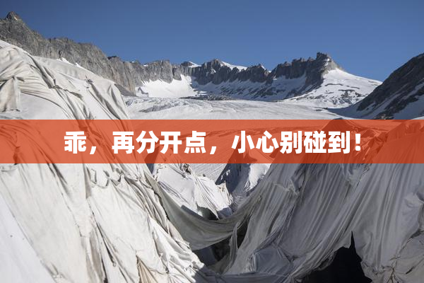乖，再分开点，小心别碰到！