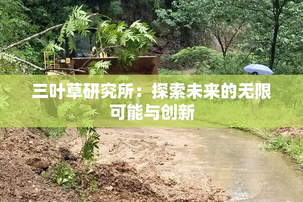 三叶草研究所：探索未来的无限可能与创新