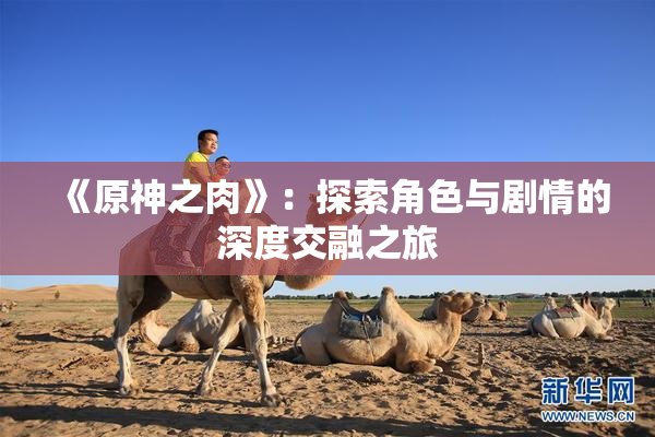 《原神之肉》：探索角色与剧情的深度交融之旅