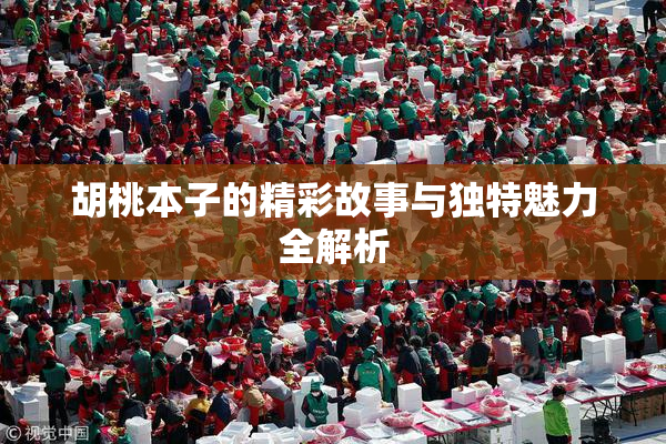 胡桃本子的精彩故事与独特魅力全解析