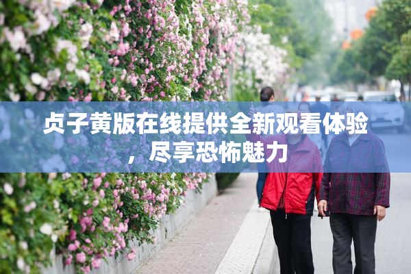 贞子黄版在线提供全新观看体验，尽享恐怖魅力