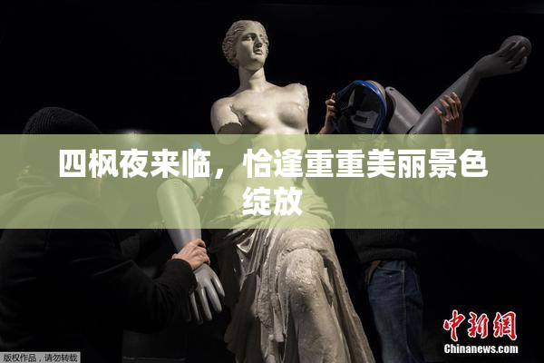 四枫夜来临，恰逢重重美丽景色绽放
