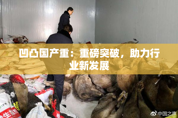 凹凸国产重：重磅突破，助力行业新发展