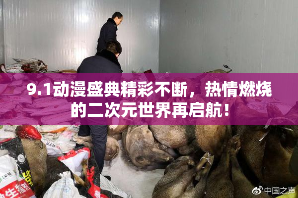 9.1动漫盛典精彩不断，热情燃烧的二次元世界再启航！