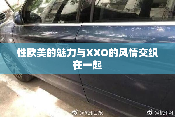 性欧美的魅力与XXO的风情交织在一起