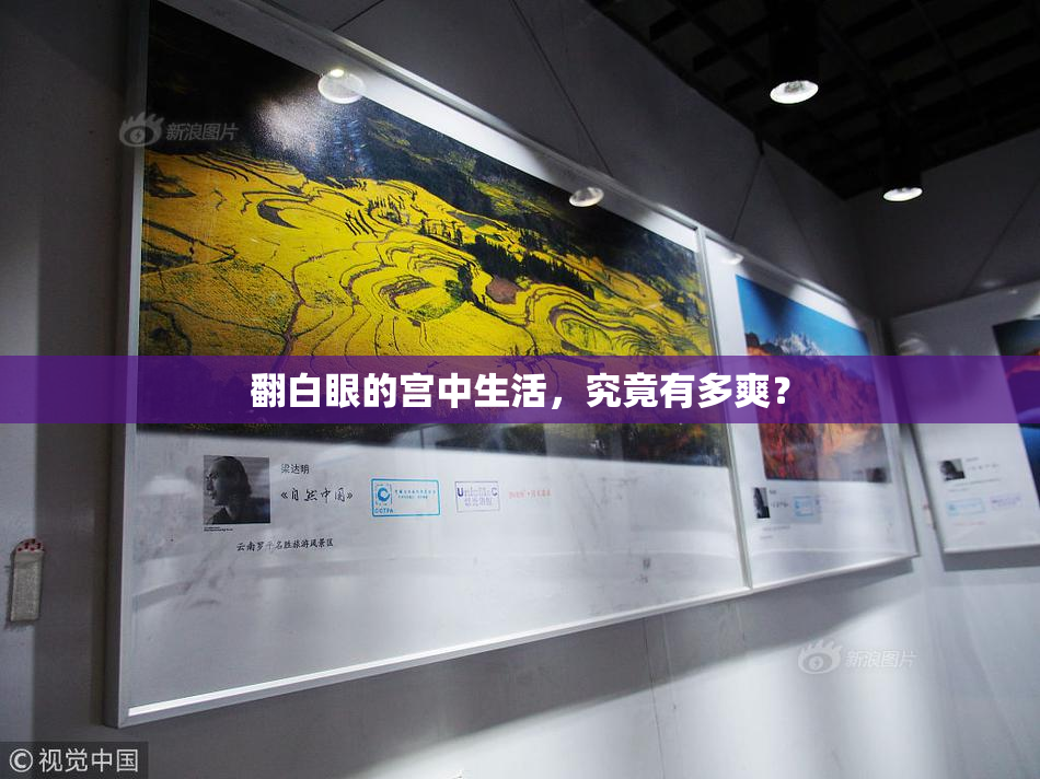 翻白眼的宫中生活，究竟有多爽？