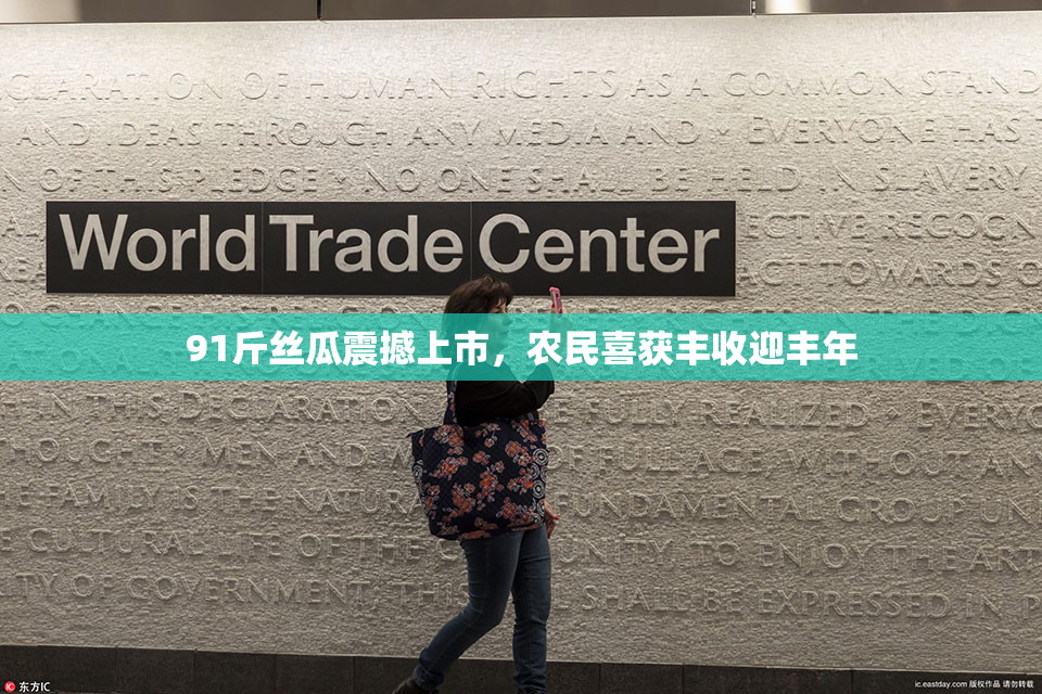 91斤丝瓜震撼上市，农民喜获丰收迎丰年