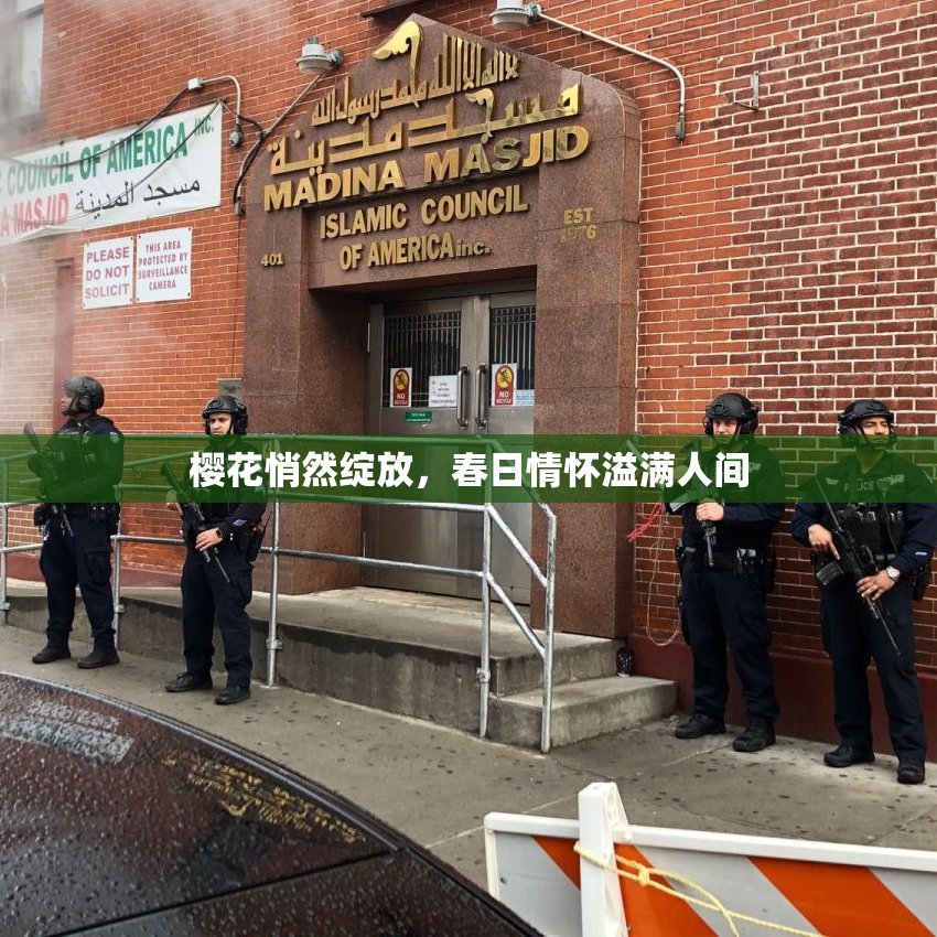 樱花悄然绽放，春日情怀溢满人间