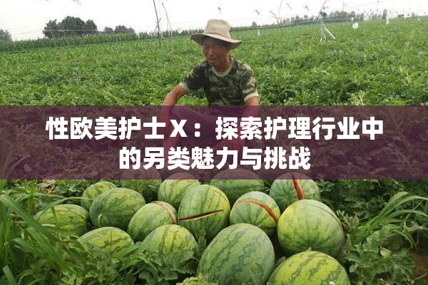 性欧美护士Ⅹ：探索护理行业中的另类魅力与挑战