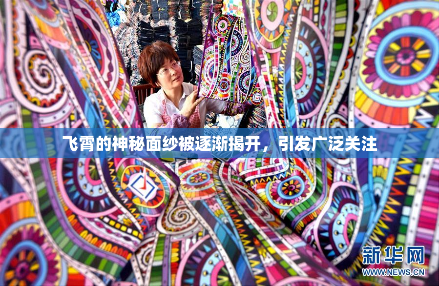 飞霄的神秘面纱被逐渐揭开，引发广泛关注