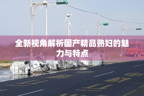 全新视角解析国产精品熟妇的魅力与特点