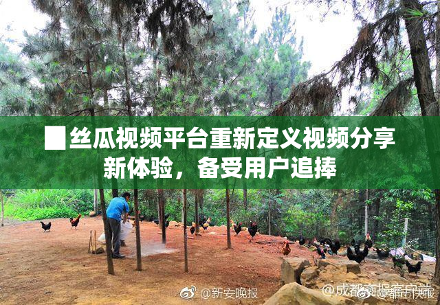 ▉丝瓜视频平台重新定义视频分享新体验，备受用户追捧