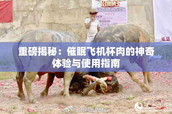 重磅揭秘：催眠飞机杯肉的神奇体验与使用指南
