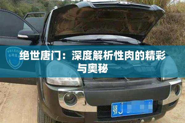 绝世唐门：深度解析性肉的精彩与奥秘