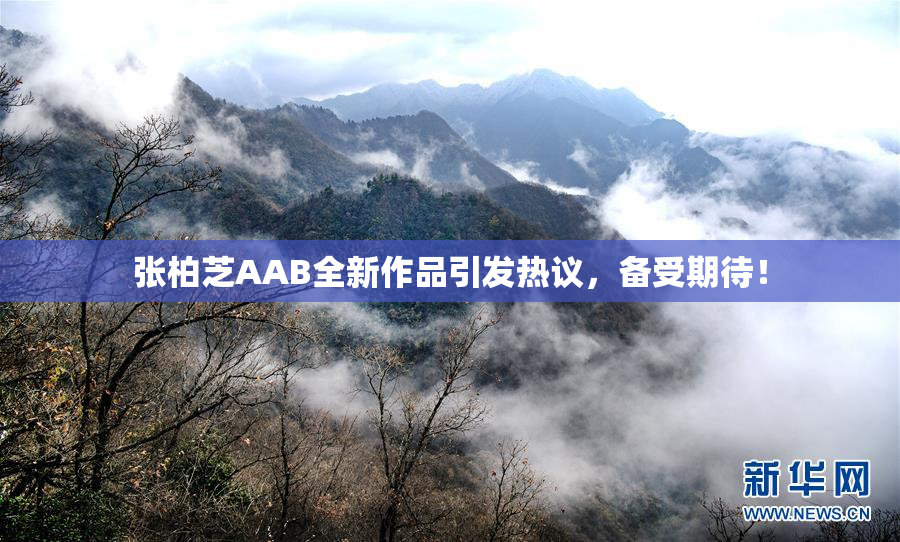 张柏芝AAB全新作品引发热议，备受期待！