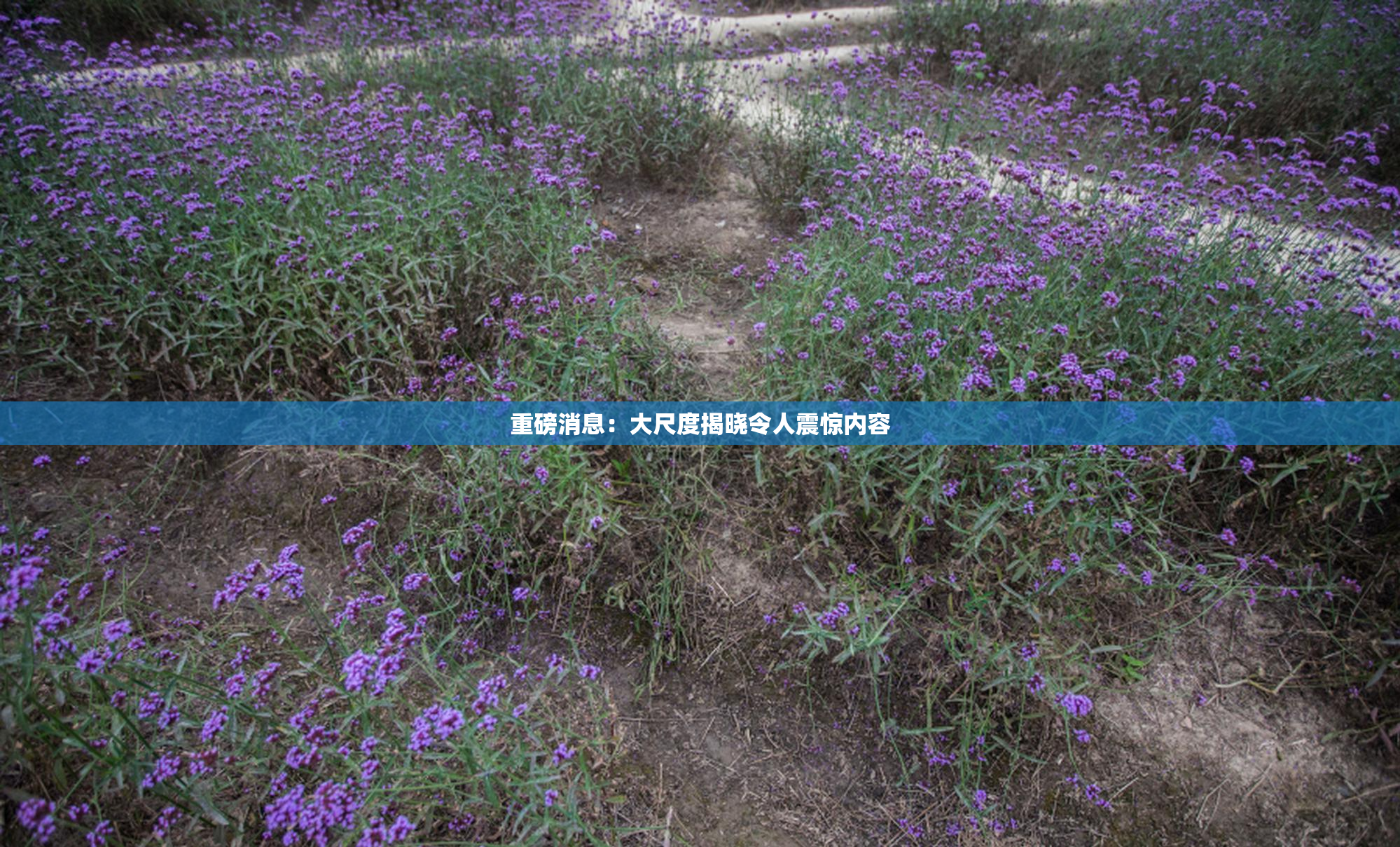 重磅消息：大尺度揭晓令人震惊内容