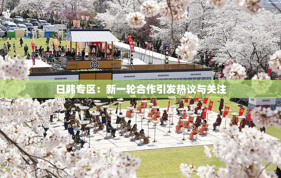 日韩专区：新一轮合作引发热议与关注