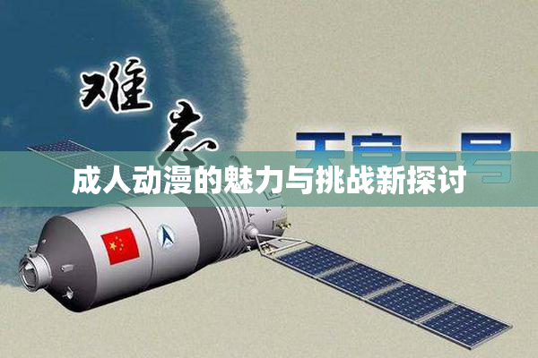 成人动漫的魅力与挑战新探讨