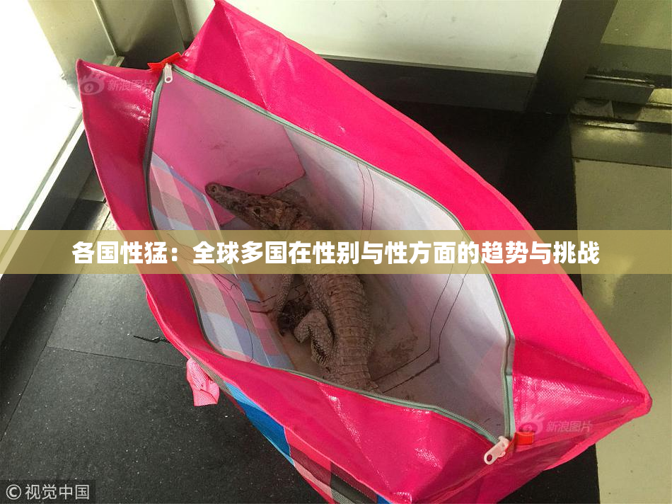 各国性猛：全球多国在性别与性方面的趋势与挑战