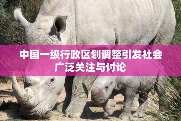 中国一级行政区划调整引发社会广泛关注与讨论