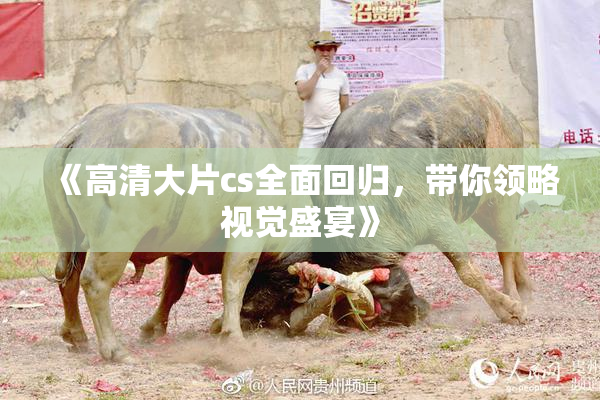 《高清大片cs全面回归，带你领略视觉盛宴》