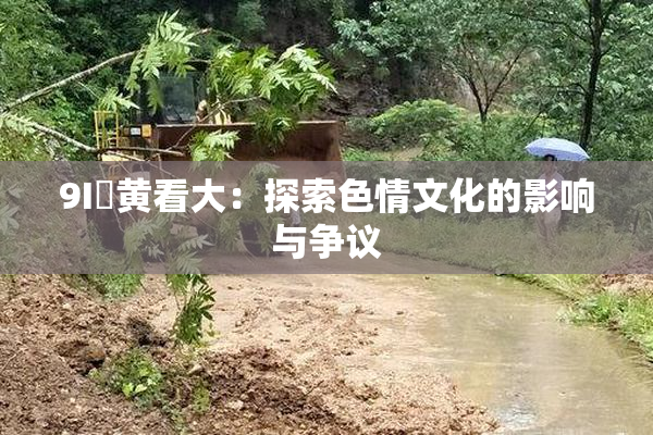 9I婬黄看大：探索色情文化的影响与争议