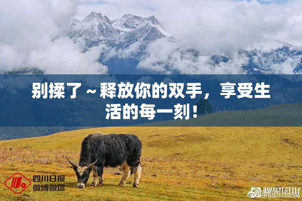 别揉了～释放你的双手，享受生活的每一刻！