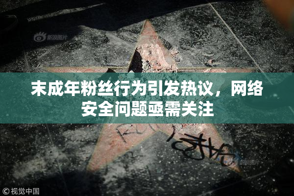 末成年粉丝行为引发热议，网络安全问题亟需关注