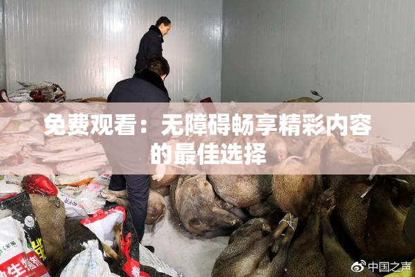 免费观看：无障碍畅享精彩内容的最佳选择