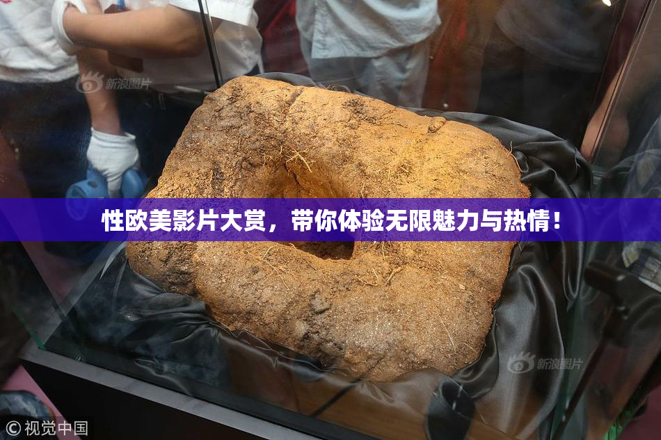 性欧美影片大赏，带你体验无限魅力与热情！