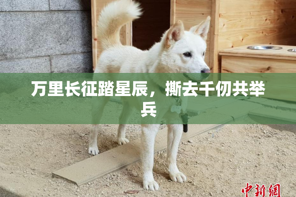 万里长征踏星辰，撕去千仞共举兵