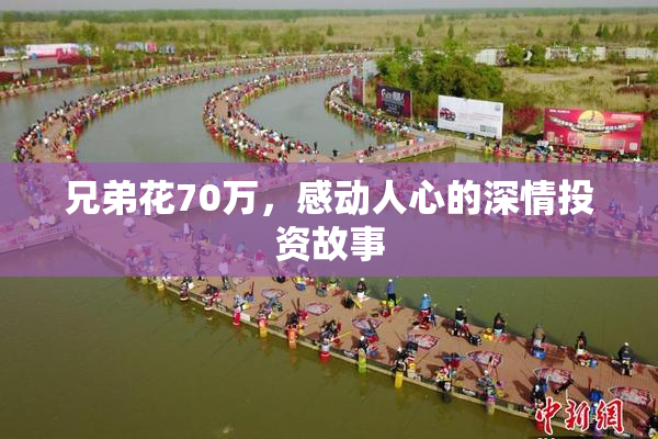 兄弟花70万，感动人心的深情投资故事