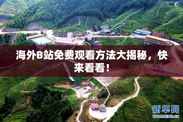 海外B站免费观看方法大揭秘，快来看看！