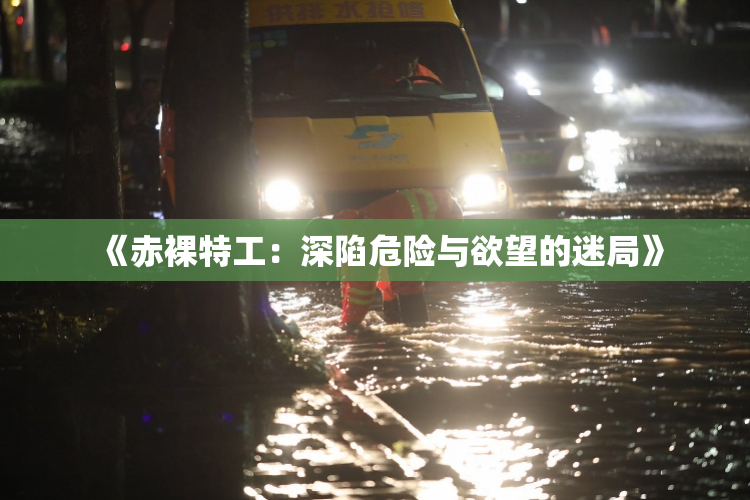 《赤裸特工：深陷危险与欲望的迷局》