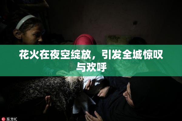 花火在夜空绽放，引发全城惊叹与欢呼