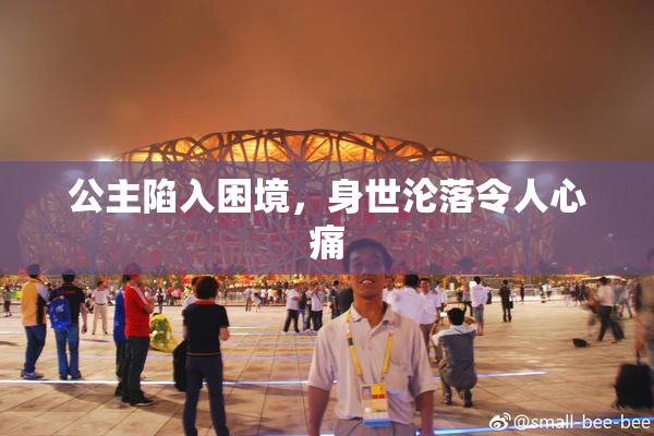 公主陷入困境，身世沦落令人心痛