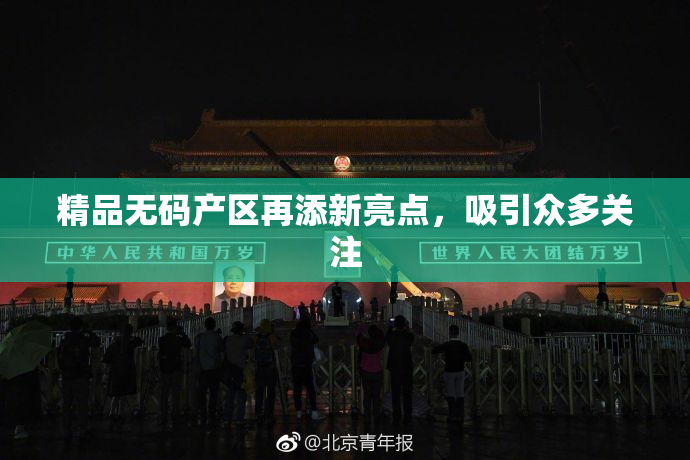 精品无码产区再添新亮点，吸引众多关注