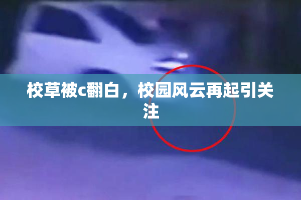 校草被c翻白，校园风云再起引关注