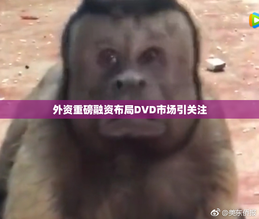 外资重磅融资布局DVD市场引关注