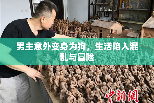 男主意外变身为狗，生活陷入混乱与冒险