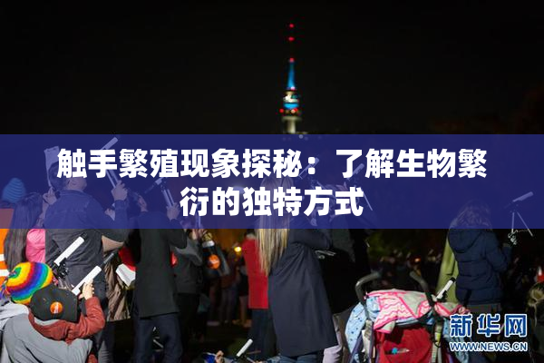 触手繁殖现象探秘：了解生物繁衍的独特方式