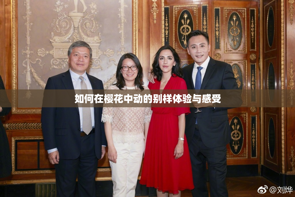 如何在樱花中动的别样体验与感受