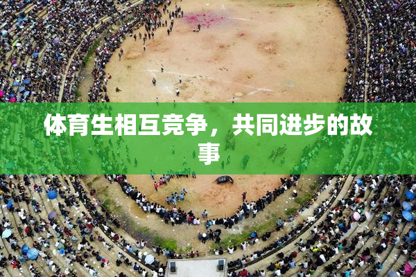 体育生相互竞争，共同进步的故事