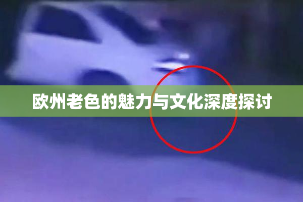 欧州老色的魅力与文化深度探讨